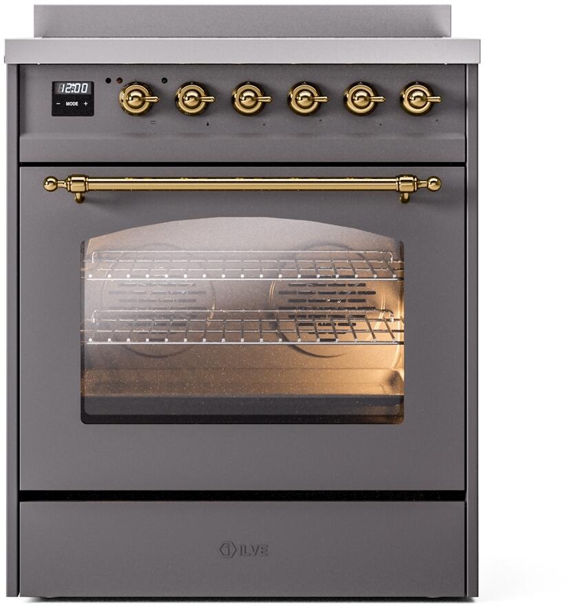 Matte graphite freestanding electric induction range with brass-trim oven door and control knobs