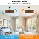Parrot Uncle 24-Inch Farmhouse DC Motor Ceiling Fan with Lighting and Remote Control (A556606CA110V)