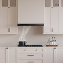 ROBAM CleanAir 30-Inch 1100 CFM Dual Mount Range Hood in Stainless Steel (A831)