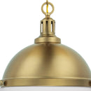 Parrot Uncle Aaron 12-Inch 2-Light Gold Dimmable Island Pendant Light (AA401G)