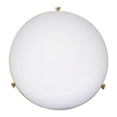 Parrot Uncle Aaron 12-Inch 2-Light Gold Dimmable Island Pendant Light (AA401G)