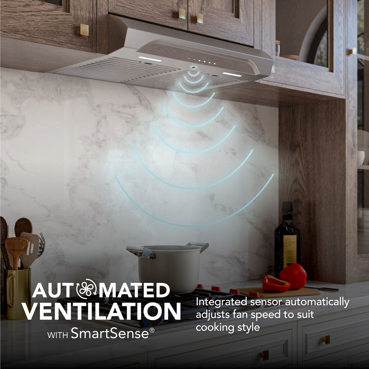 Broan-NuTone Alta 30-Inch 640 CFM Convertible Under Cabinet Range Hood in Stainless Steel (ALT4306SS)