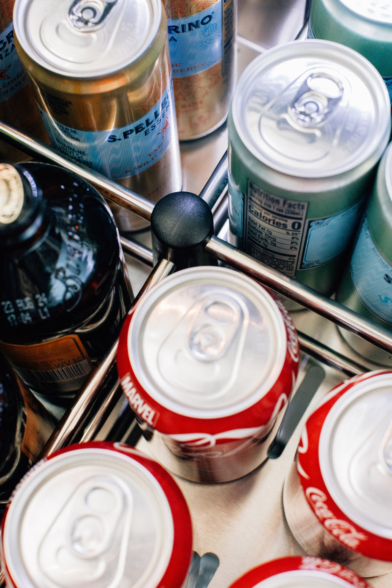 TrueFlame 24-Inch 5.01 Cu. Ft. Deluxe Outdoor Rated Refrigerator in Stainless Steel (AMD-RFR-24DR2-A)