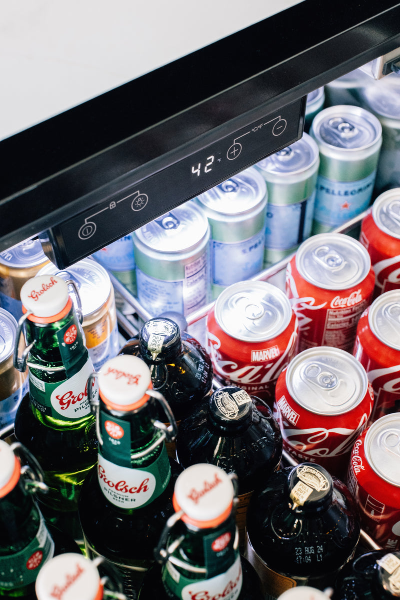 TrueFlame 24-Inch 5.01 Cu. Ft. Deluxe Outdoor Rated Refrigerator in Stainless Steel (AMD-RFR-24DR2-A)