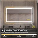 Parrot Uncle GlareGuard Rectangular Anti-Fog Dimmable Backlit LED Bathroom Vanity Mirror