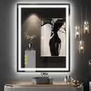 Parrot Uncle GlareGuard Rectangular Anti-Fog Dimmable Backlit LED Bathroom Vanity Mirror