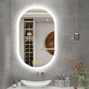 Parrot Uncle BrightView Oval Frameless LED Anti-Fog Dimmable Bathroom Vanity Mirror
