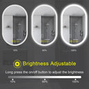 Parrot Uncle BrightView Oval Frameless LED Anti-Fog Dimmable Bathroom Vanity Mirror
