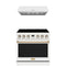 Thor Kitchen 2-Piece Appliance Package - 36-Inch Electric Range & Under Cabinet Hood in White with Bronze Trim