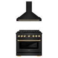 ZLINE Autograph Edition 2-Piece Appliance Package - 36-Inch Paramount Dual Fuel Range & Wall Mount Range Hood in Black Stainless Steel with Gold Accents