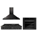 ZLINE 3-Piece Appliance Package - 48 in. Rangetop, 30 in. Wall Oven, & Premium Hood in Black Stainless Steel