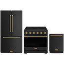 Black Thor Kitchen appliance package with 36-inch range, counter-depth refrigerator, dishwasher
