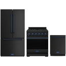 Black Thor Kitchen appliance package with 30-inch range, counter-depth refrigerator, dishwasher