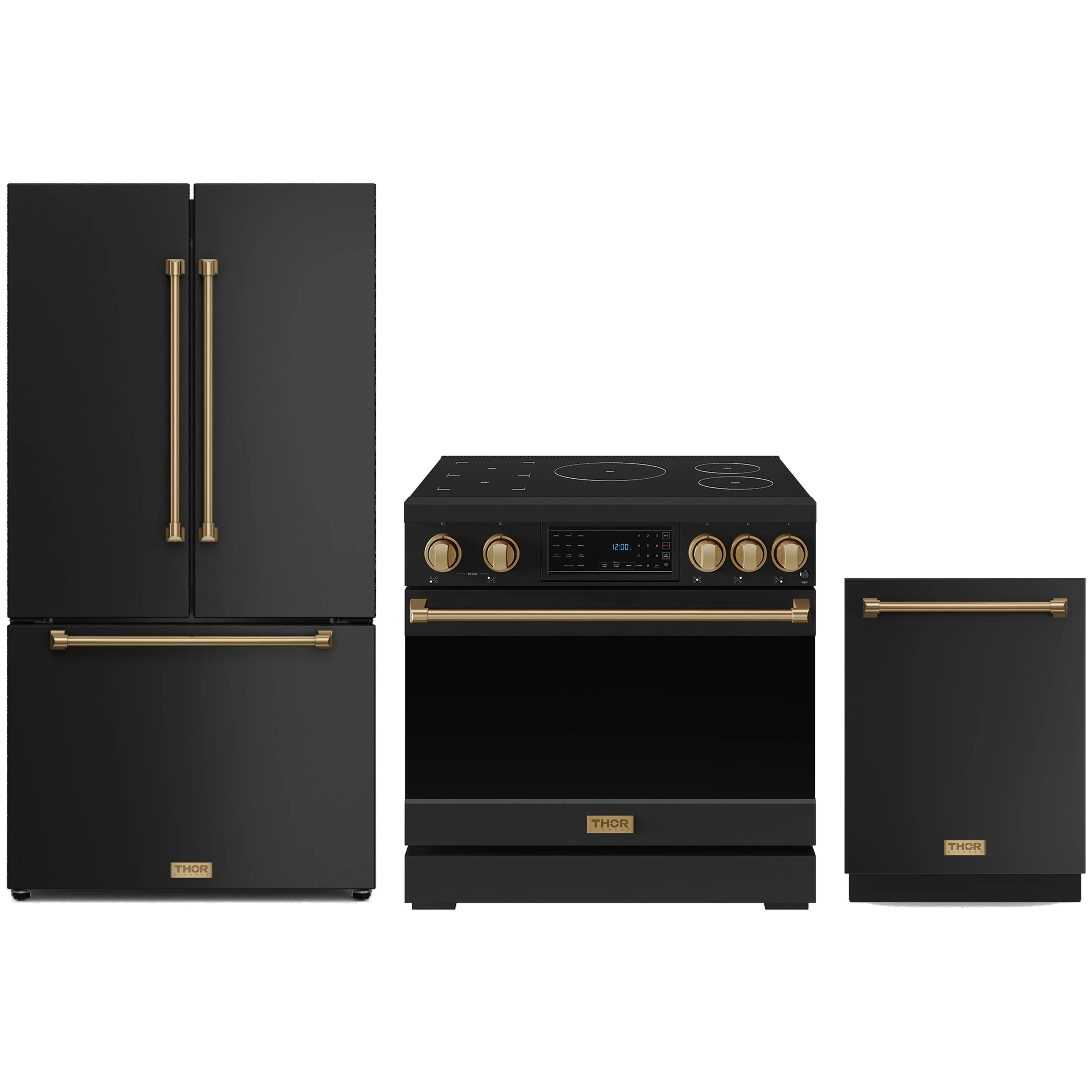 Black 3-piece appliance package: induction range, counter-depth refrigerator, compact dishwasher
