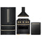 ZLINE 4-Piece Appliance Package - 30-Inch Gas Range, Hood, Refrigerator, and Dishwasher in Black Stainless Steel with Gold Accents