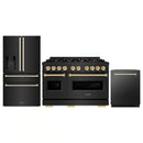 ZLINE 3-Piece Appliance Package - 48-Inch Dual Fuel Range, Refrigerator with Water Dispenser, and Dishwasher in Black Stainless Steel with Gold Accents