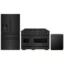 ZLINE 3-Piece Appliance Package - 48-Inch Gas Range, Refrigerator with Water Dispenser, and Dishwasher in Black Stainless Steel