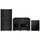 ZLINE 3-Piece Appliance Package - 48-Inch Paramount Dual Fuel Range, 36-Inch French Door Refrigerator with Water Dispenser, Dishwasher, in Black Stainless Steel
