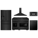 ZLINE 5-Piece Appliance Package - 48-Inch Paramount Gas Range, Wall Mount Range Hood, 36-Inch French Door Refrigerator with Water Dispenser, Dishwasher, and 30-Inch Microwave Drawer in Black Stainless Steel