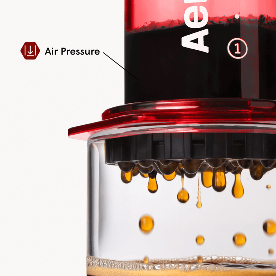 AeroPress Coffee Maker & Stainless Steel Filter Traveler's Bundle, 3-in-1 Brewing, Clear & Colors