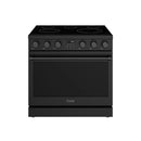 Thor Kitchen 3-Piece Appliance Package - 36-Inch Electric Range, 30-Inch Refrigerator, & 24-Inch Dishwasher in Black