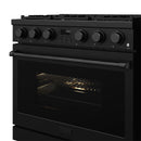 Thor Kitchen 36-Inch Natural Gas Range with 6 Burners, 6.0 cu. ft. Convection Oven in Black (ARG36B)