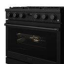 Thor Kitchen 3-Piece Appliance Package - 36-Inch Natural Gas Range, 30-Inch Refrigerator, & 24-Inch Dishwasher in Black