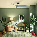 Parrot Uncle 52-Inch Punjab Industrial DC Motor Downrod Mount Reversible Ceiling Fan with Remote Control