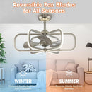 Parrot Uncle 30-Inch Theron Modern DC Motor Downrod Mount Reversible Ceiling Fan with LED Lighting and Remote Control (BBA535406CA110V)