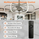 Parrot Uncle 30-Inch Theron Modern DC Motor Downrod Mount Reversible Ceiling Fan with LED Lighting and Remote Control (BBA535406CA110V)