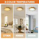 Parrot Uncle 25-Inch Dana Vintage Golden Sunburst Flush Mount LED Light (BBC3002)