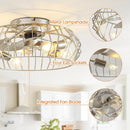 Parrot Uncle 20-Inch Silver Flush Mount Ceiling Fan with Light APP and Remote Control (BBF3001)