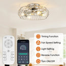 Parrot Uncle 20-Inch Silver Flush Mount Ceiling Fan with Light APP and Remote Control (BBF3001)