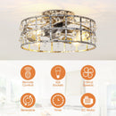 Parrot Uncle 18-Inch Retro Silver Crystal Flush Mount Ceiling Fan with APP Remote Control and Lighting (BBF3007)