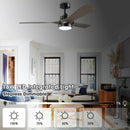 Parrot Uncle 52-Inch Ivy Industrial Downrod Mount LED Ceiling Fan with Remote Control (BBF6024BK)
