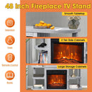 Parrot Uncle Decorative Modern 48-Inch TV Stand with 18-Inch Insert Electric Fireplace
