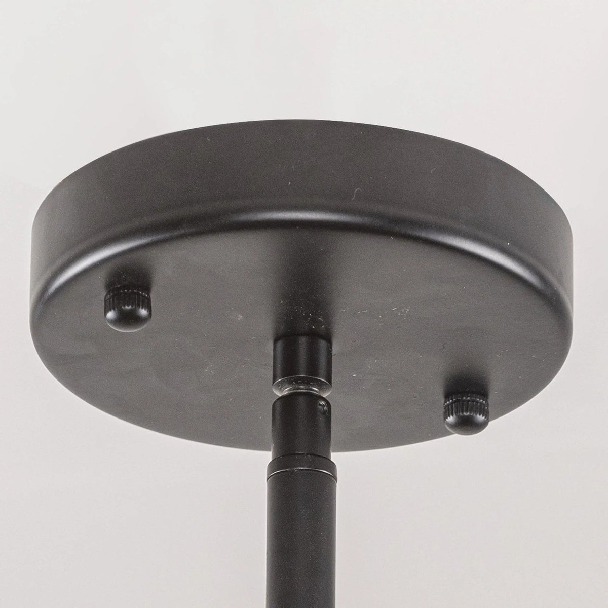 Black round ceiling canopy for hanging branch pendant light