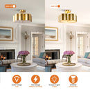 Parrot Uncle Golden Modern Semi Flush 3-Light Ceiling Lighting (BBW9744-3)