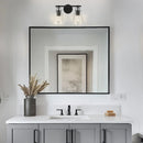 Parrot Uncle Brilliance Modern Farmhouse 2-Light Vanity Light