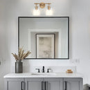 Parrot Uncle Brilliance Modern Farmhouse 2-Light Vanity Light