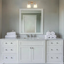 Parrot Uncle Brilliance Modern Farmhouse 2-Light Vanity Light