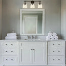 Parrot Uncle Brilliance Modern Farmhouse 3-Light Vanity Light