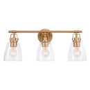 Parrot Uncle Brilliance Modern Farmhouse 3-Light Vanity Light