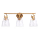 Parrot Uncle Brilliance Modern Farmhouse 3-Light Vanity Light