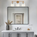 Parrot Uncle Brilliance Modern Farmhouse 3-Light Vanity Light