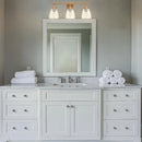 Parrot Uncle Brilliance Modern Farmhouse 3-Light Vanity Light