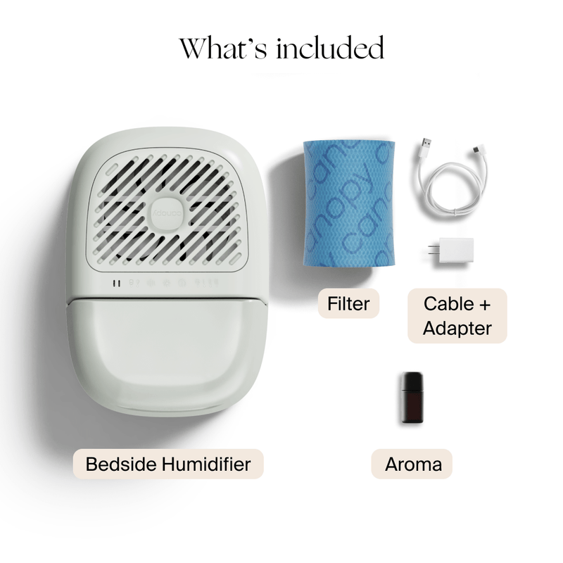Canopy Bedside Compact Humidifier 2.0 Aroma Diffuser with UV Light and White Noise