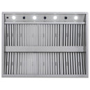 Blaze 48-Inch Outdoor Vent Hoods (BLZ-48-VHOOD2)