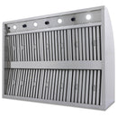 Blaze 48-Inch Outdoor Vent Hoods (BLZ-48-VHOOD2)