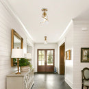 Parrot Uncle 7-Inch Walker 1-Light Semi-Flush Mount Ceiling Light (C3007)
